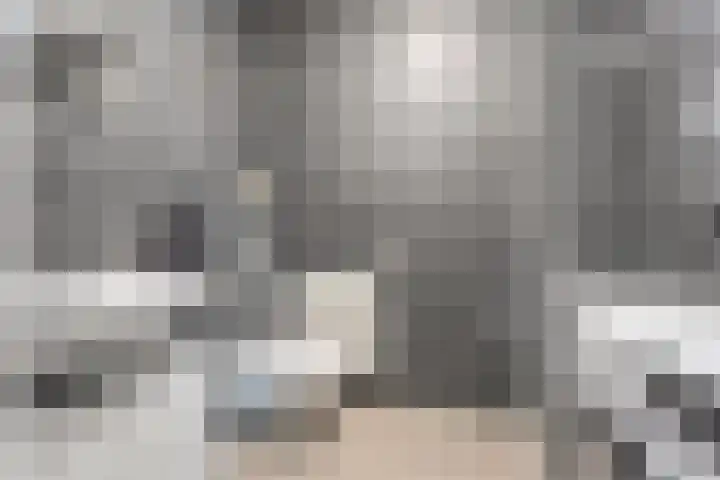 Rietgors 43 Olst thumbnail 22