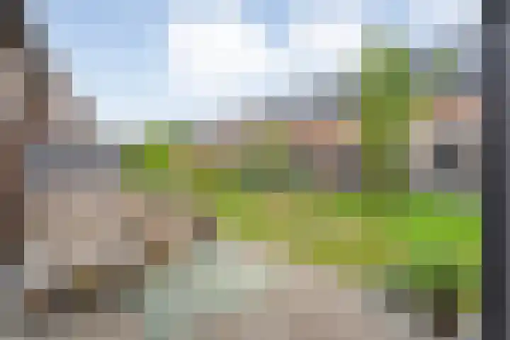 Rietgors 43 Olst thumbnail 24