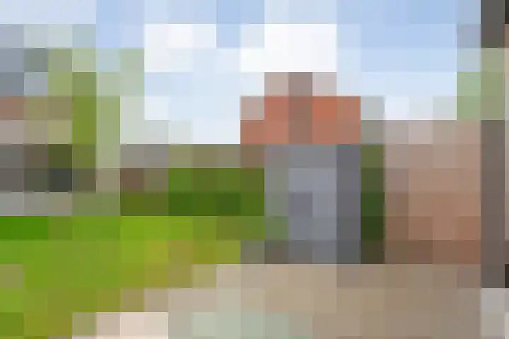 Rietgors 43 Olst thumbnail 25
