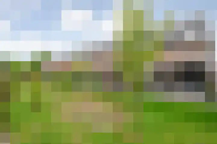 Rietgors 43 Olst thumbnail 26