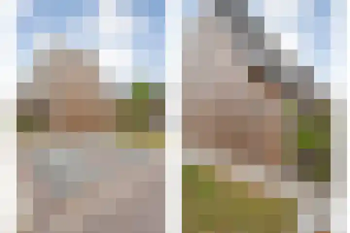 Rietgors 43 Olst thumbnail 27