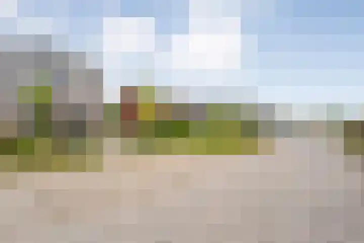 Rietgors 43 Olst thumbnail 4