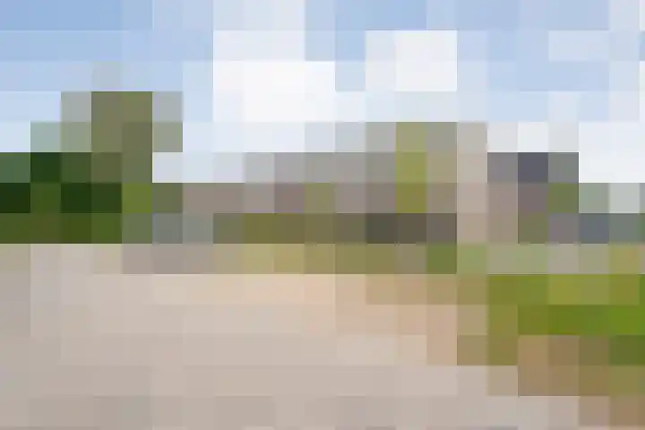 Rietgors 43 Olst thumbnail 5