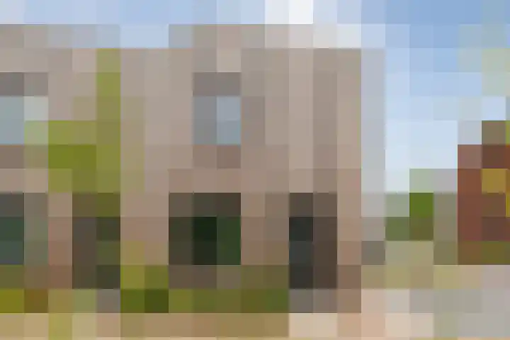 Rietgors 43 Olst thumbnail 6