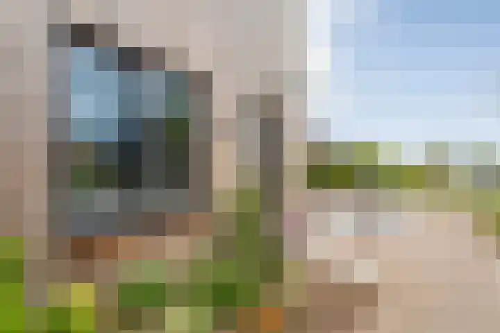 Rietgors 43 Olst thumbnail 7