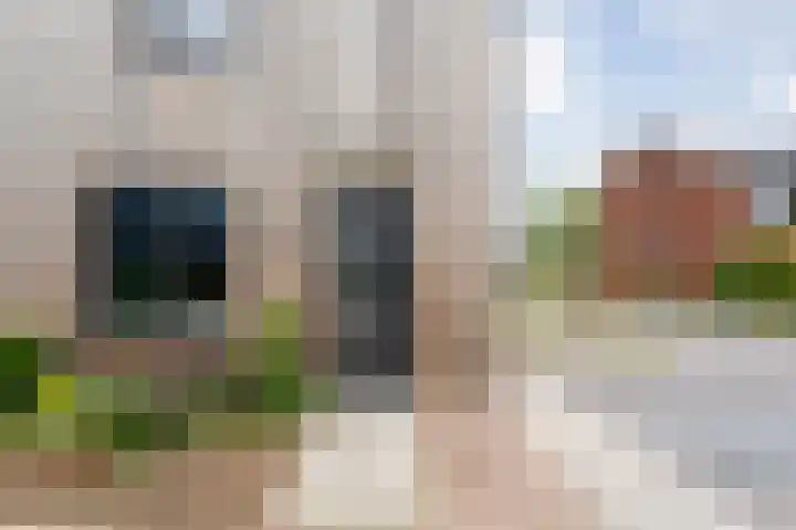 Rietgors 43 Olst thumbnail 8