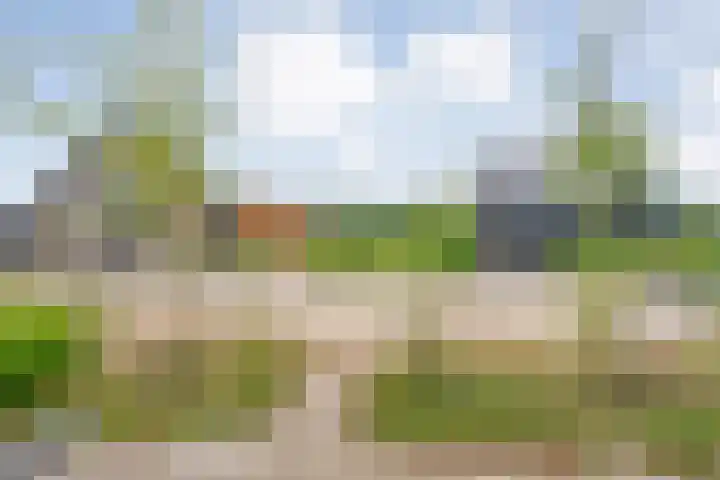 Rietgors 43 Olst thumbnail 9