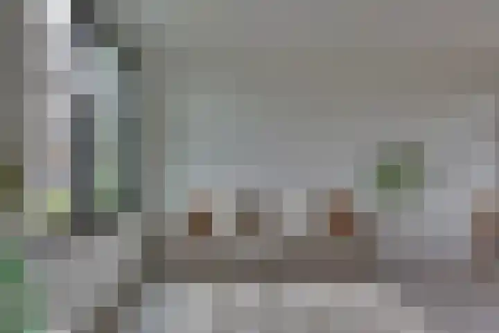 Rietgors 45 Olst thumbnail 10