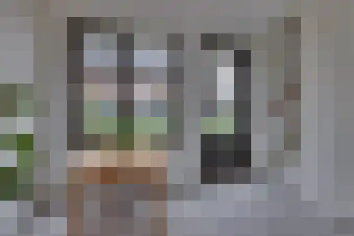 Rietgors 45 Olst thumbnail 14