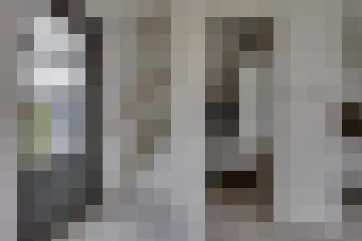 Rietgors 45 Olst thumbnail 15
