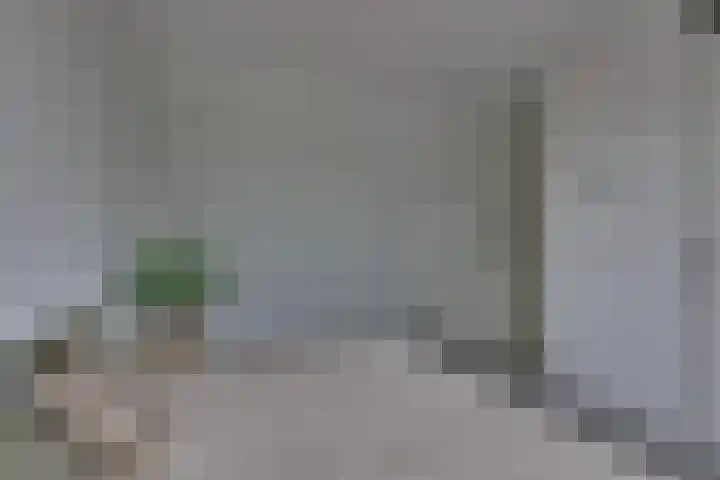 Rietgors 45 Olst thumbnail 18