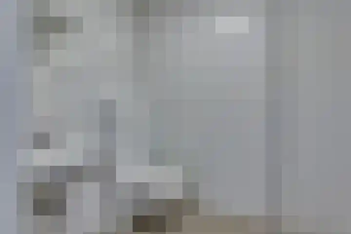 Rietgors 45 Olst thumbnail 19
