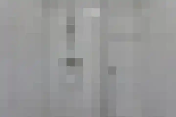 Rietgors 45 Olst thumbnail 21