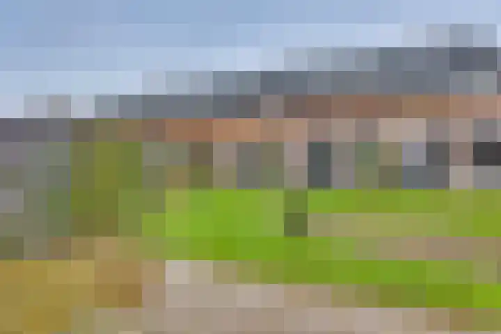 Rietgors 45 Olst thumbnail 23
