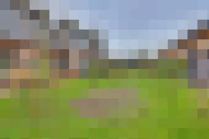 Rietgors 45 Olst thumbnail 25