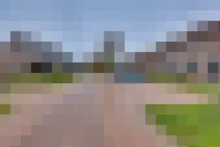 Rietgors 45 Olst thumbnail 27