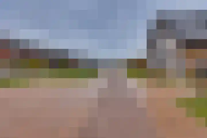 Rietgors 45 Olst thumbnail 28