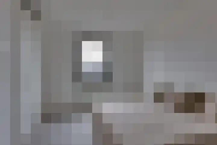 Rietgors 45 Olst thumbnail 4