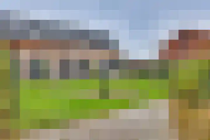 Rietgors 45 Olst thumbnail 6
