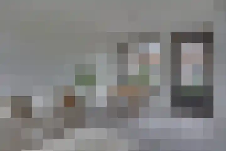 Rietgors 45 Olst thumbnail 9