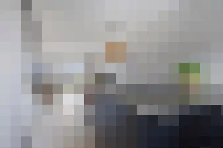 Rietgors 7 Olst thumbnail 10