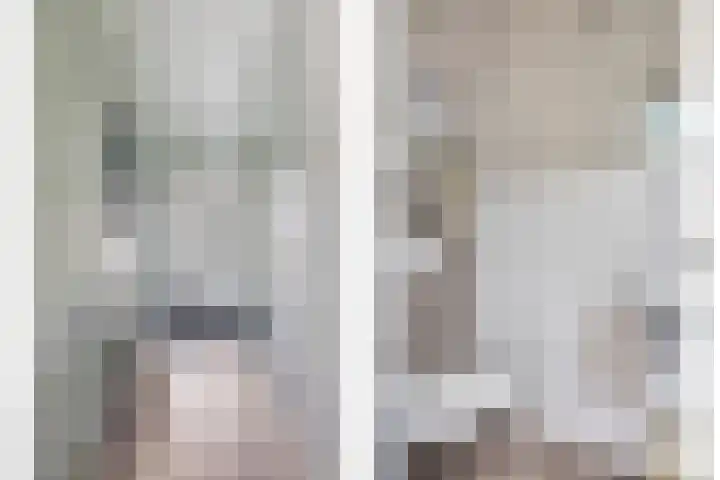 Rietgors 7 Olst thumbnail 12