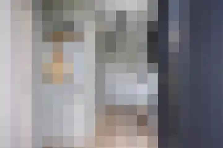 Rietgors 7 Olst thumbnail 13