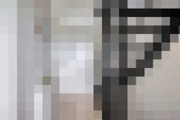 Rietgors 7 Olst thumbnail 14