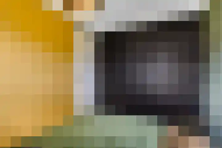 Rietgors 7 Olst thumbnail 16