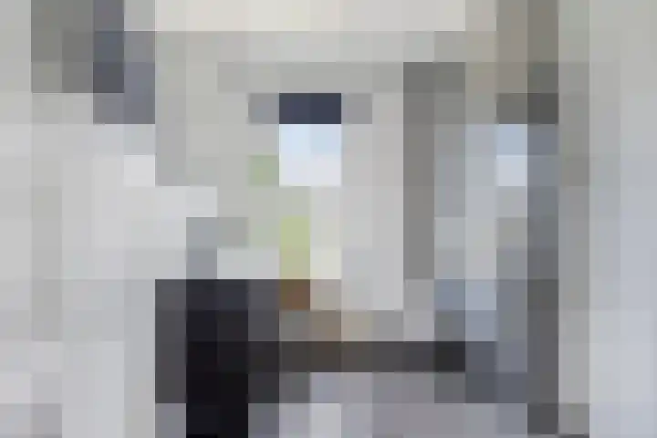 Rietgors 7 Olst thumbnail 21