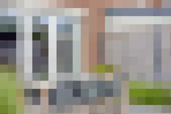 Rietgors 7 Olst thumbnail 27