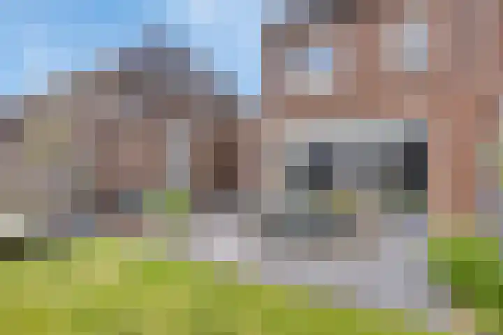 Rietgors 7 Olst thumbnail 28