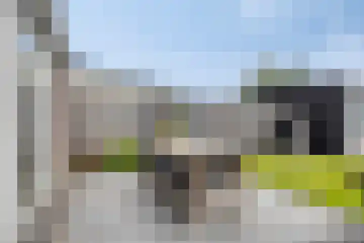 Rietgors 7 Olst thumbnail 29