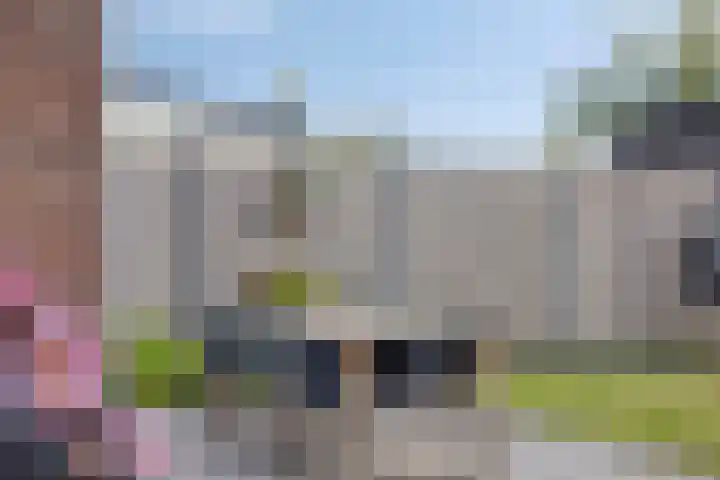 Rietgors 7 Olst thumbnail 30