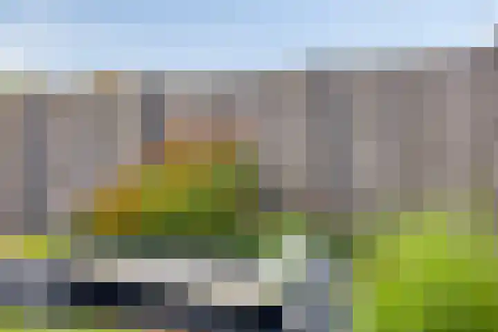 Rietgors 7 Olst thumbnail 31