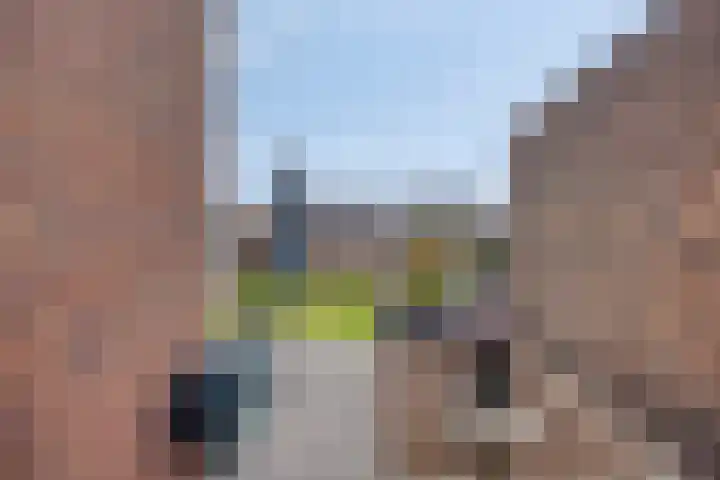 Rietgors 7 Olst thumbnail 32