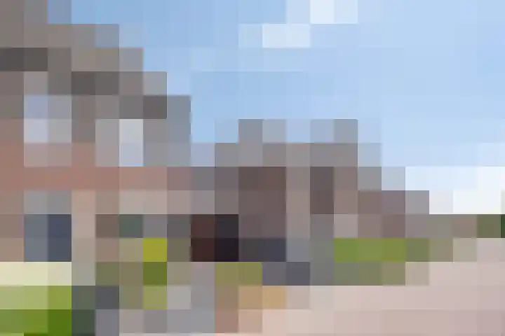 Rietgors 7 Olst thumbnail 34