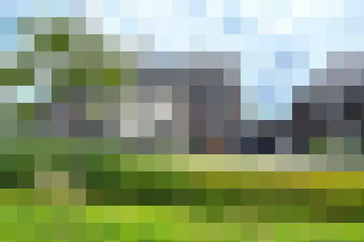Rietgors 7 Olst thumbnail 35