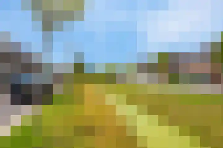 Rietgors 7 Olst thumbnail 37