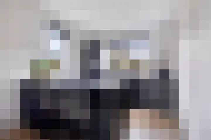 Rietgors 7 Olst thumbnail 7
