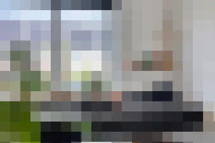 Rietgors 7 Olst thumbnail 9