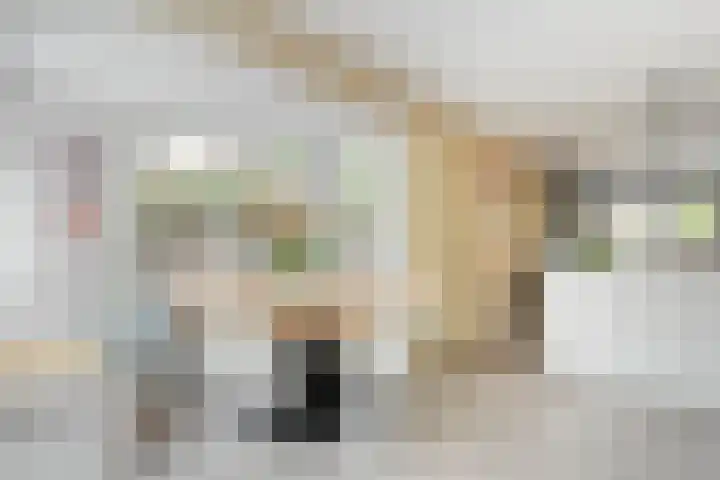 Rietgras 68 Zwolle thumbnail 17