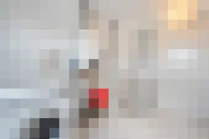 Rietgras 68 Zwolle thumbnail 32