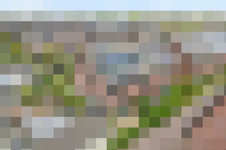 Rietgras 68 Zwolle thumbnail 4
