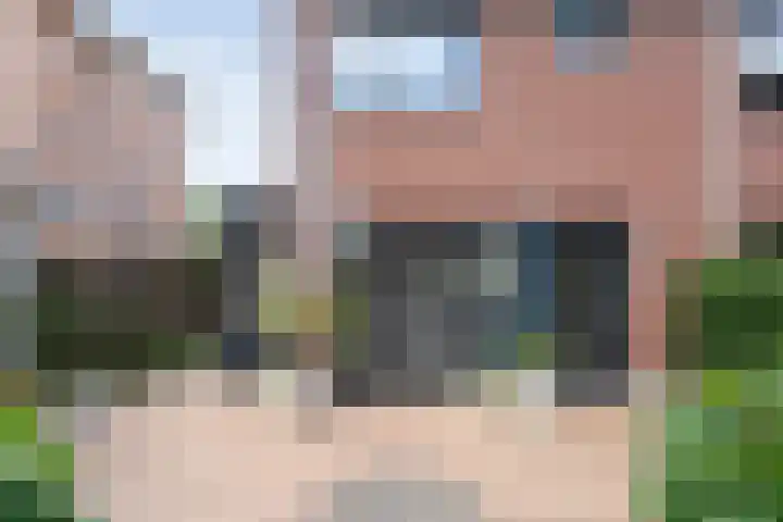 Rietgras 68 Zwolle thumbnail 40