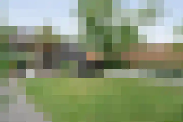 Rietgras 68 Zwolle thumbnail 42