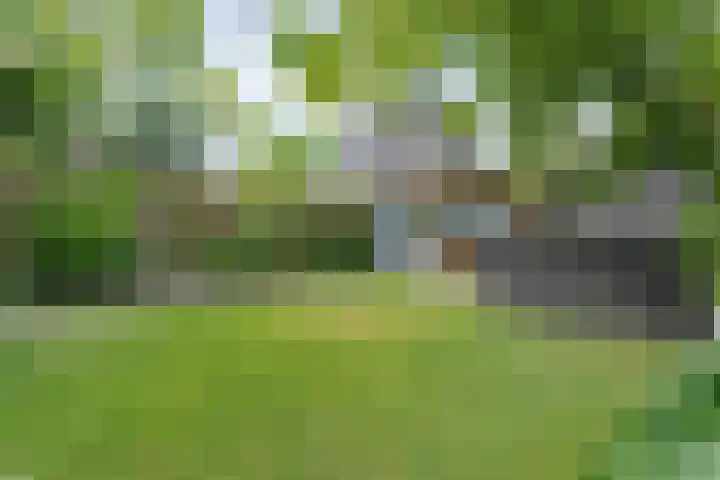 Rietgras 68 Zwolle thumbnail 43