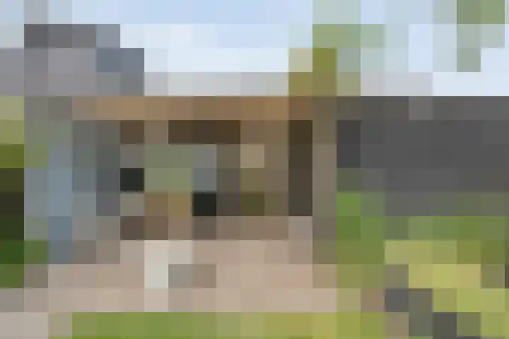 Rietgras 68 Zwolle thumbnail 44