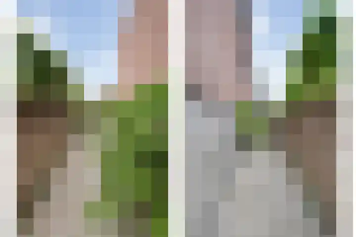 Rietgras 68 Zwolle thumbnail 47