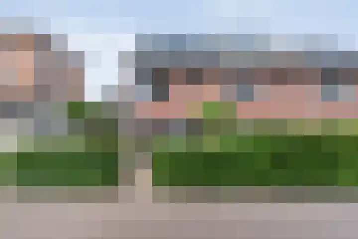 Rietgras 68 Zwolle thumbnail 48